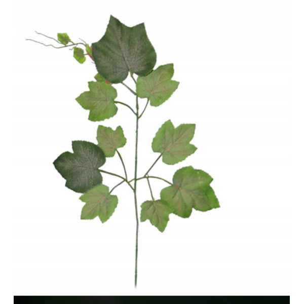 Liście liść WINOGRONA bluszcz gałązka roślina 55cm 12 szt